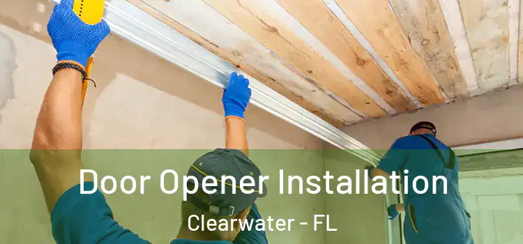  Door Opener Installation Clearwater - FL