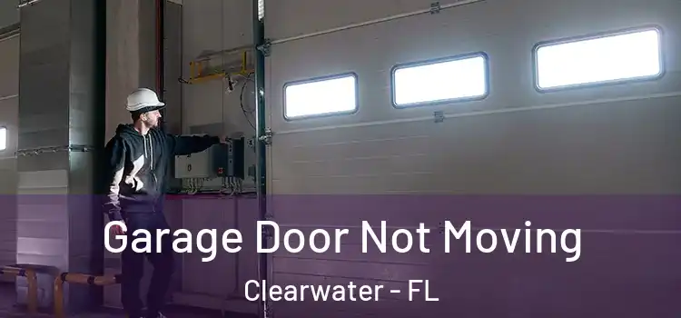  Garage Door Not Moving Clearwater - FL