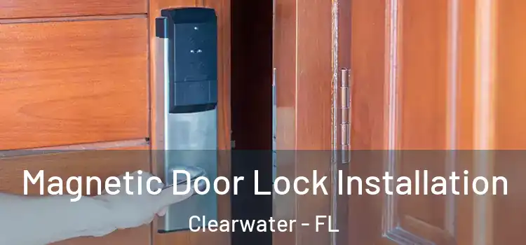  Magnetic Door Lock Installation Clearwater - FL