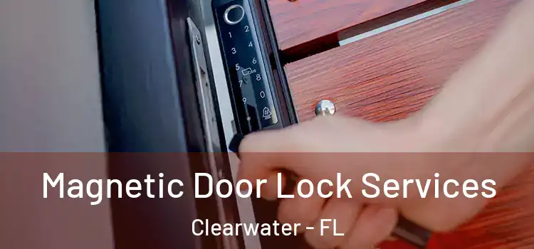  Magnetic Door Lock Services Clearwater - FL